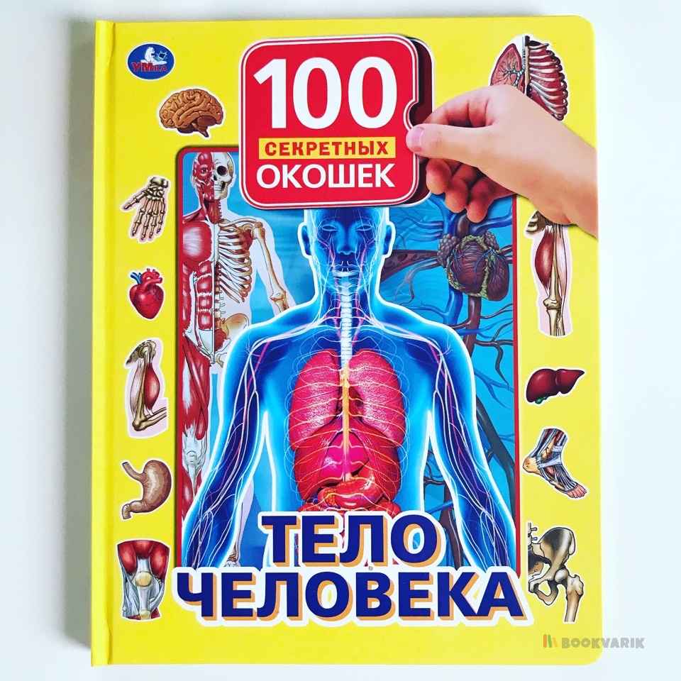 100 окошек для малышей. Тело Человека