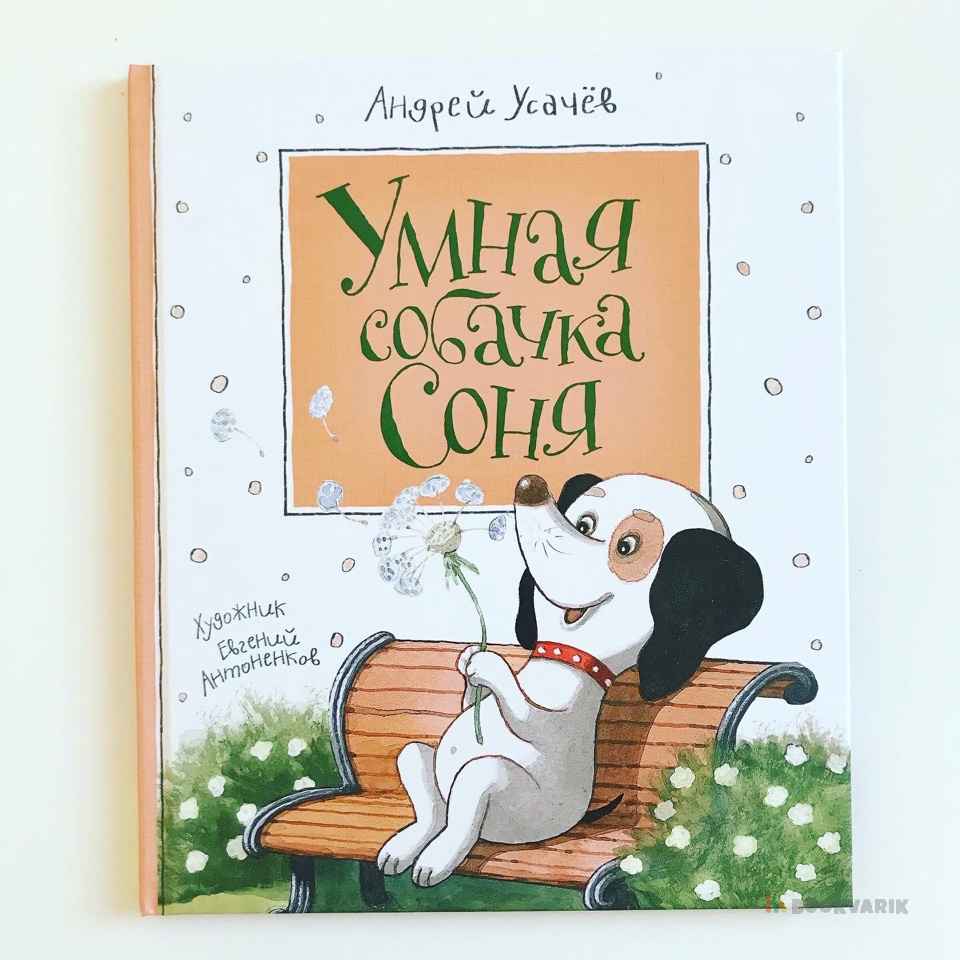 Умная собачка Соня