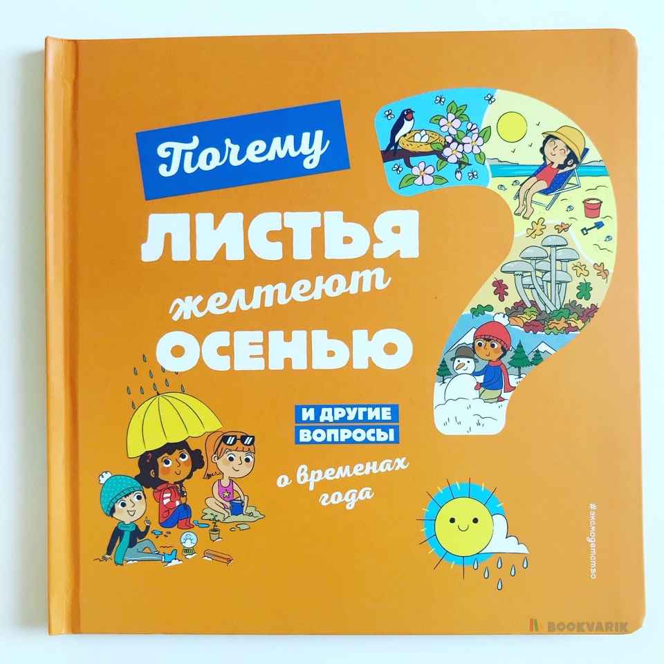 Почему листья желтеют осенью? И другие вопросы о временах года 