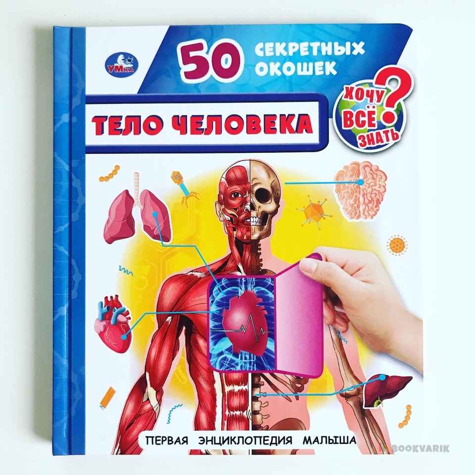 Тело человека. 50 секретных окошек