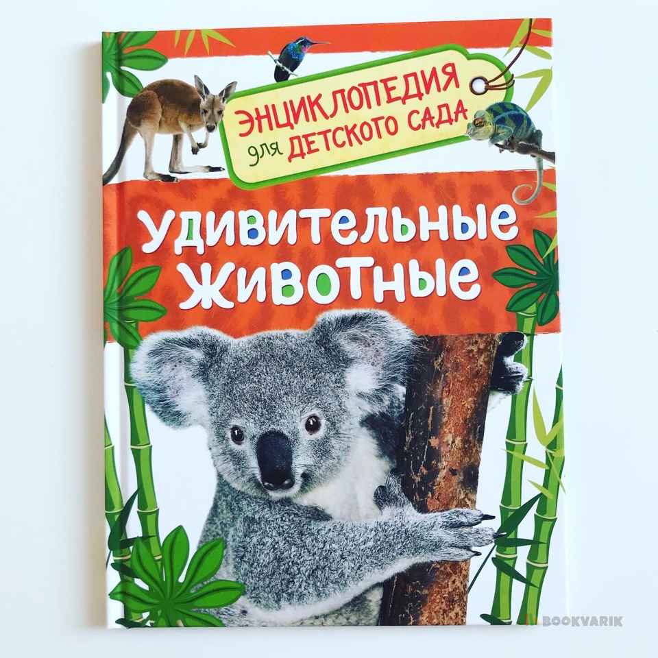 Удивительные животные. Энциклопедия для детского сада