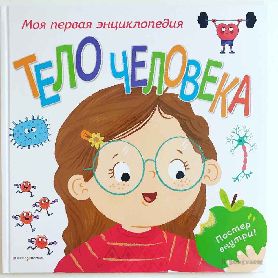 Тело человека. Моя первая энциклопедия