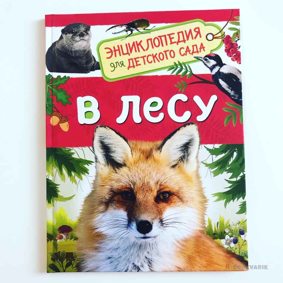 В лесу. Энциклопедия для детского сада