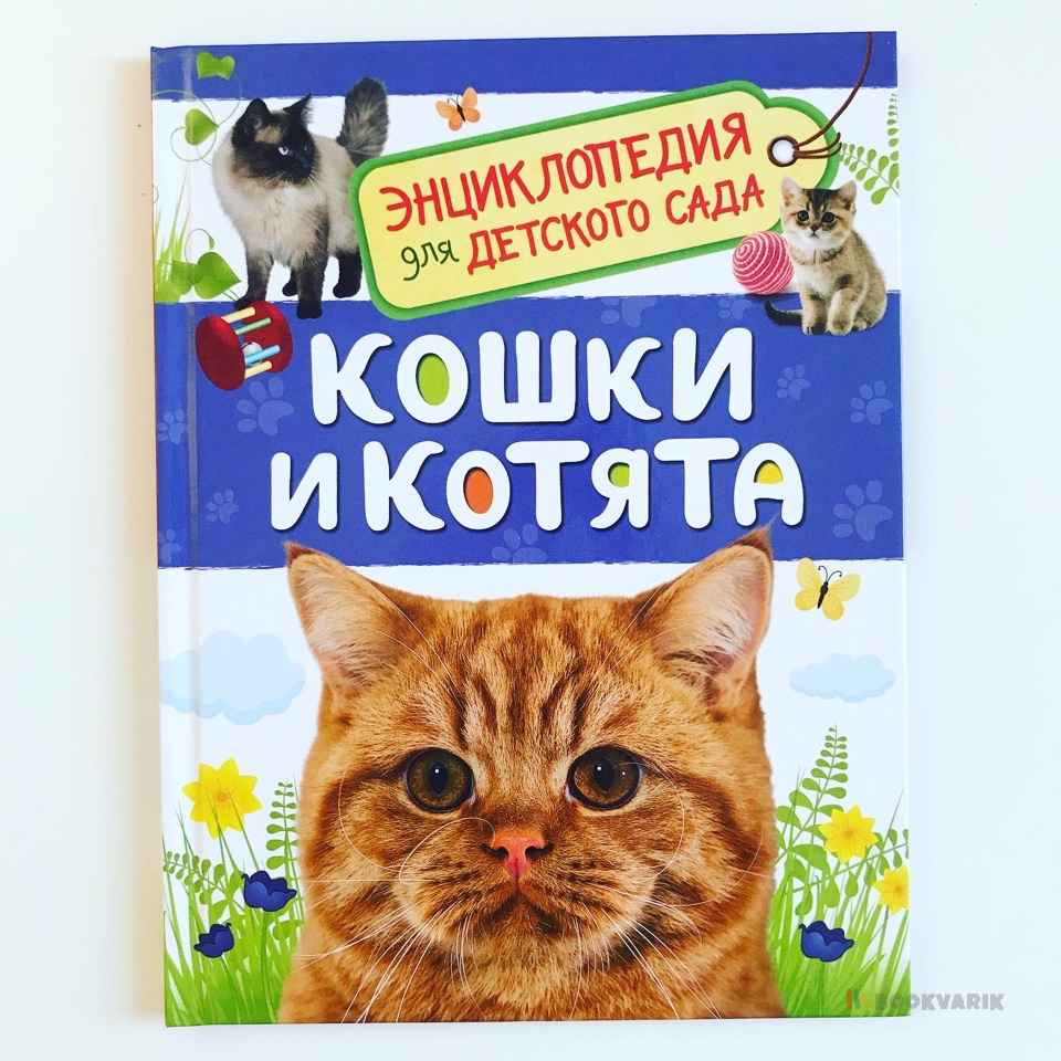 Кошки и котята. Энциклопедия для детского сада