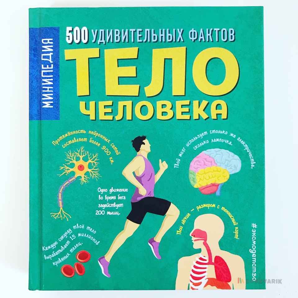 Тело человека. 500 удивительных фактов