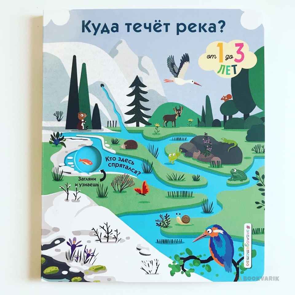 Куда течет река?