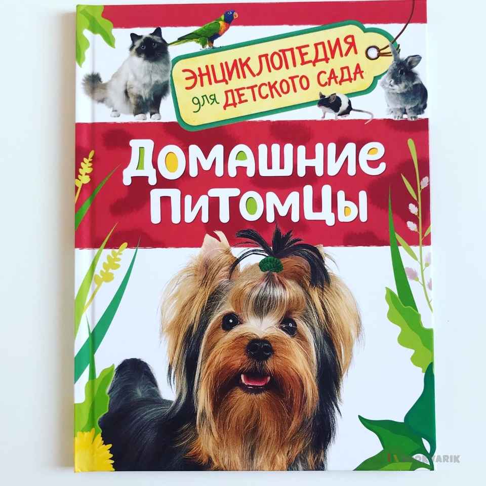 Домашние питомцы. Энциклопедия для детского сада